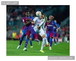 2024年全国海岸赛艇沙滩冲刺公开赛（舟山站）在朱家尖南沙开赛